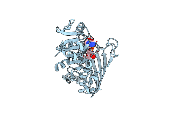 1VC2 image