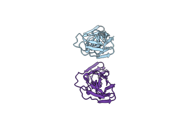 1VCA image