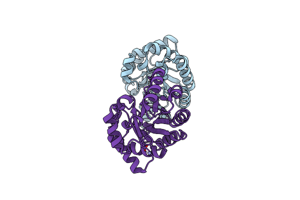 1VCV image