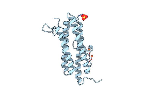 1VEI image