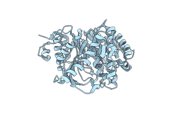1VFF image