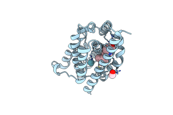 1VGI image
