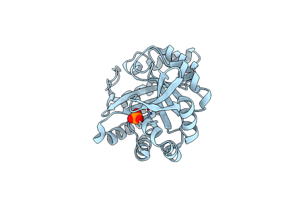 1VH7 image