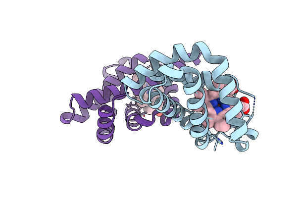 1VHB image