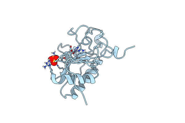 1VHH image