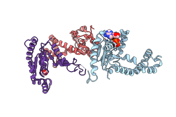 1VHL image