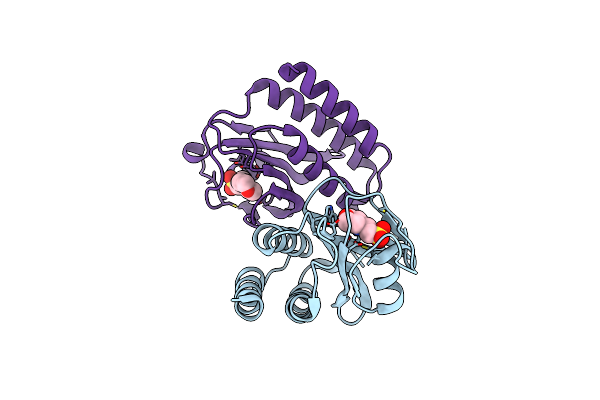 1VHM image