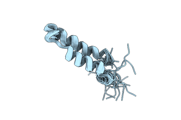1VIB image