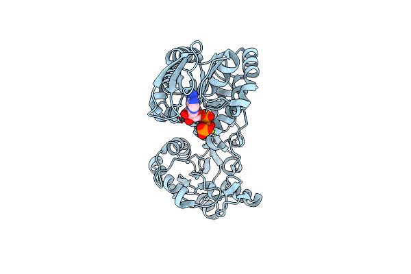 1VJC image