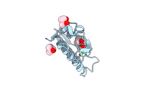 1VKQ image