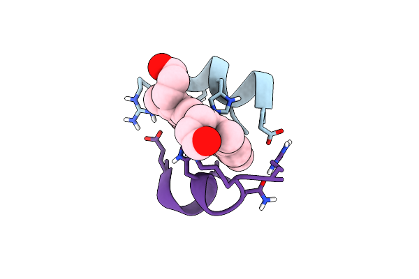 1VL3 image