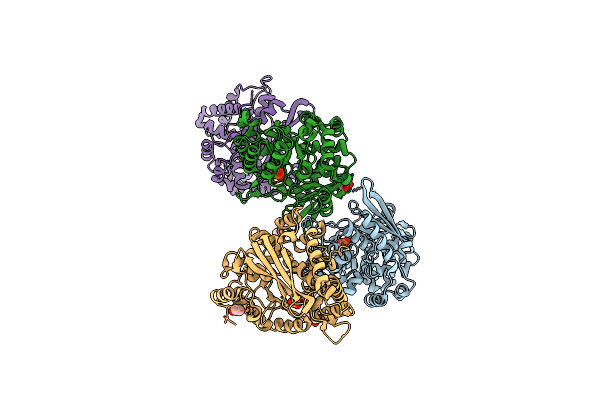 1VLP image