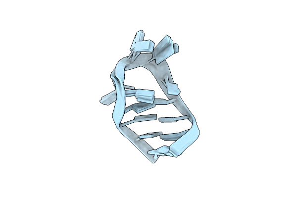 1VOP image