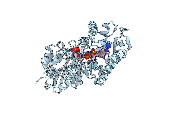 1VPE image