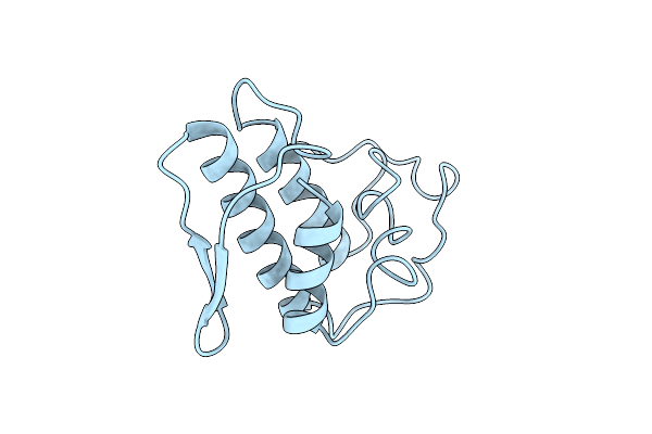 1VPI image