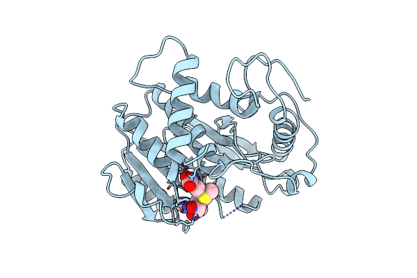 1VPT image