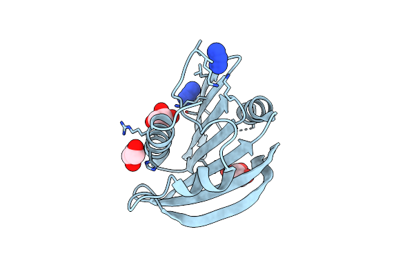1VR8 image