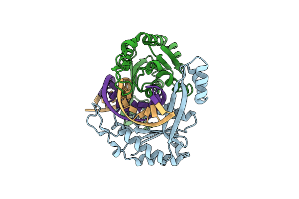 1VRR image