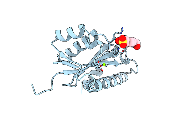 1VSD image