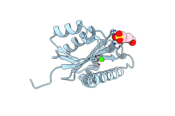 1VSI image