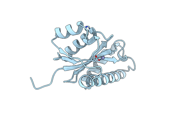 1VSL image