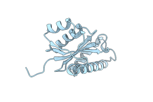1VSM image