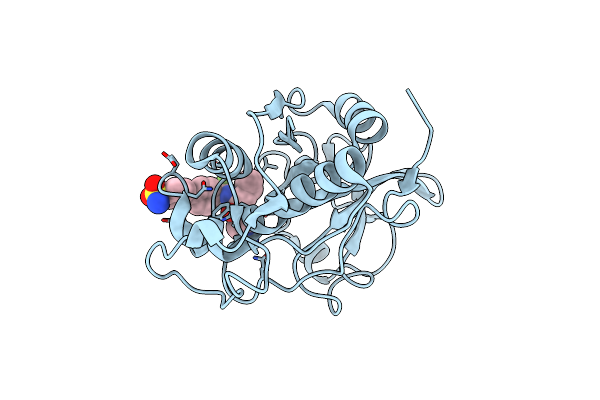 1VSN image