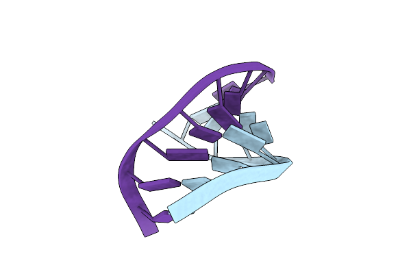1VTA image