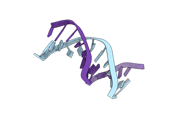 1VTD image