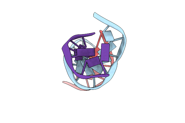 1VTE image