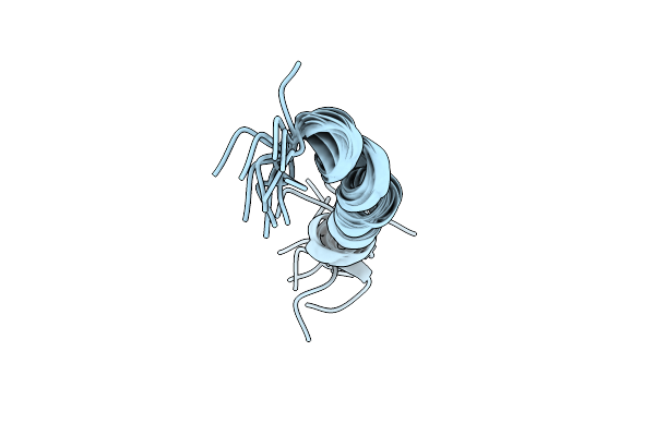 1VTP image