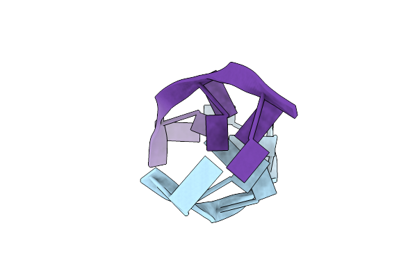 1VTT image