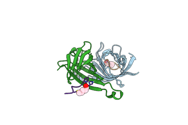 1VWI image