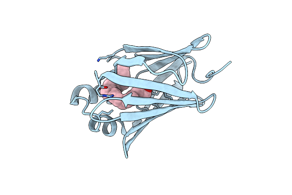1VYG image