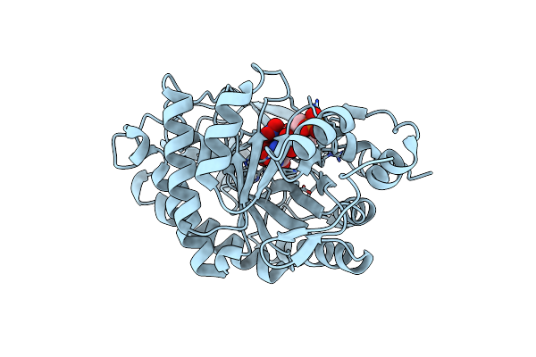 1VYR image
