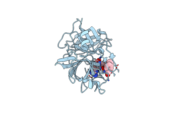 1W12 image