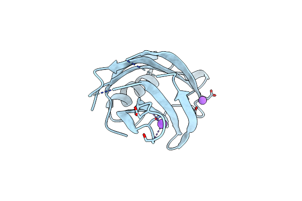 1W16 image