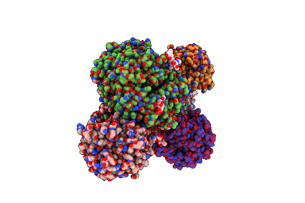1W1I image