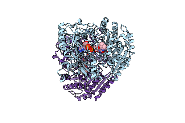 1W1M image