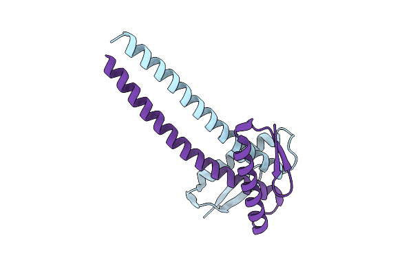 1W2E image