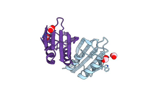 1W2I image