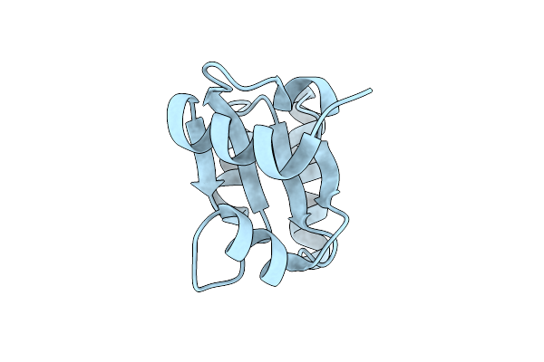 1W40 image