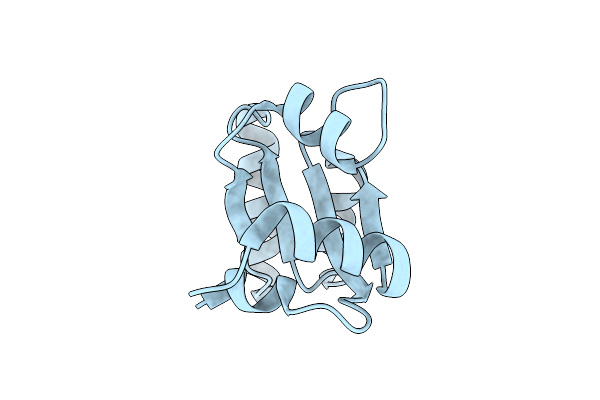 1W41 image