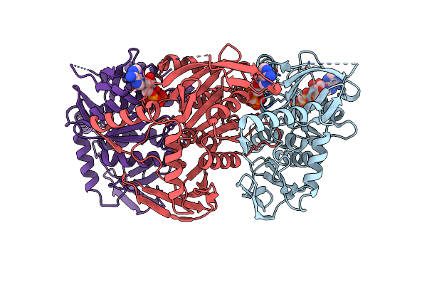 1W48 image