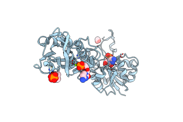 1W55 image