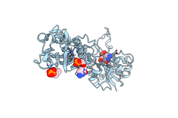1W57 image