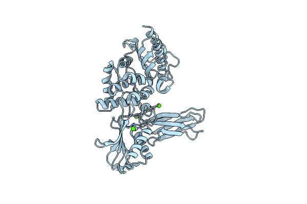 1W5D image