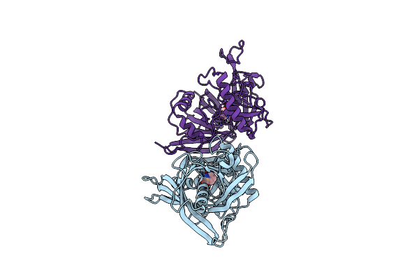 1W61 image