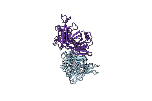 1W62 image