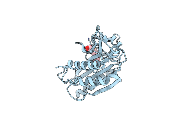 1W66 image